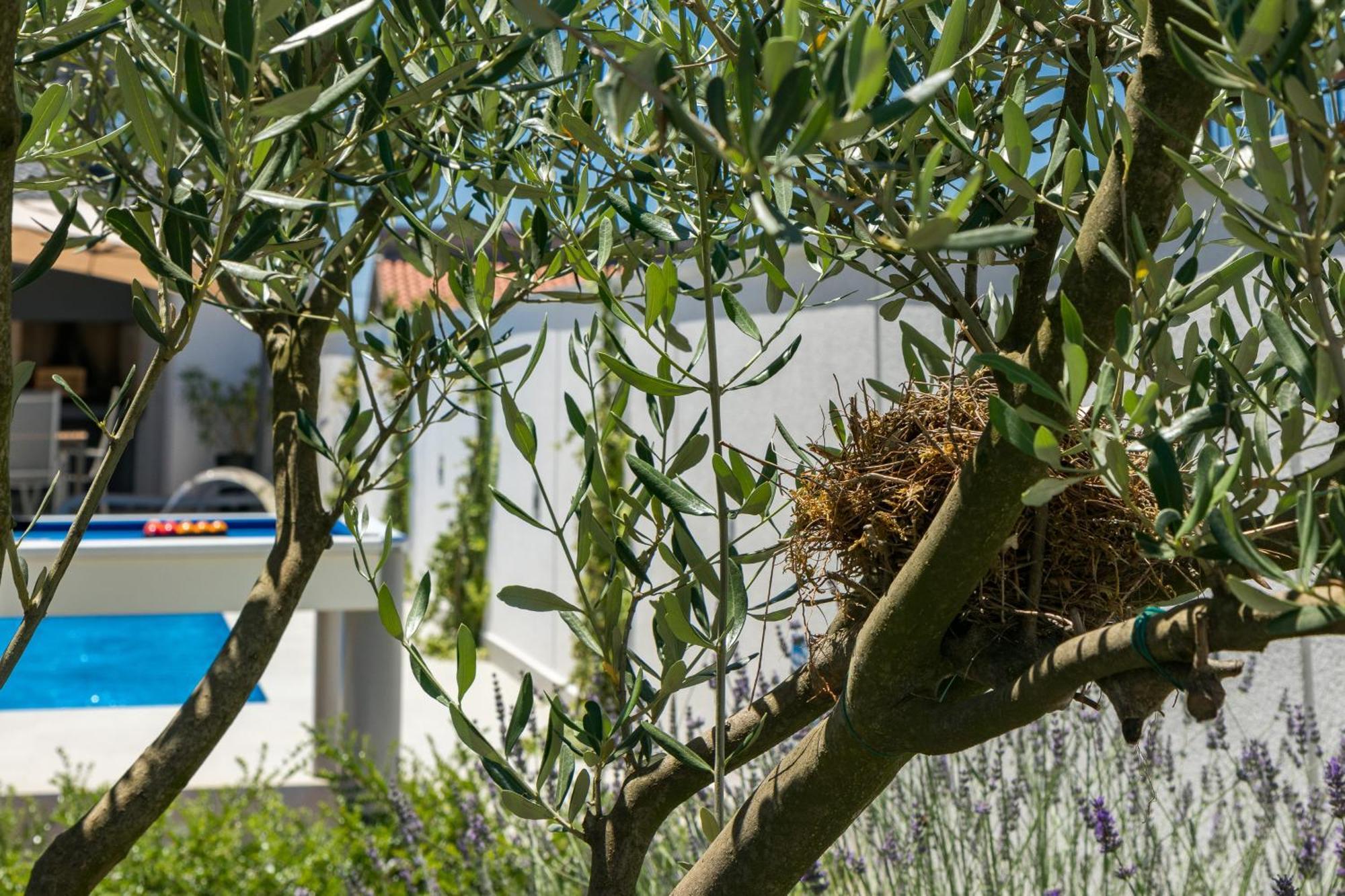 Casa L Pula